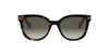 #colour_shiny-dark-havana-brown-gradient