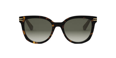 #colour_shiny-dark-havana-brown-gradient