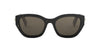 #colour_shiny-black-brown-gradient