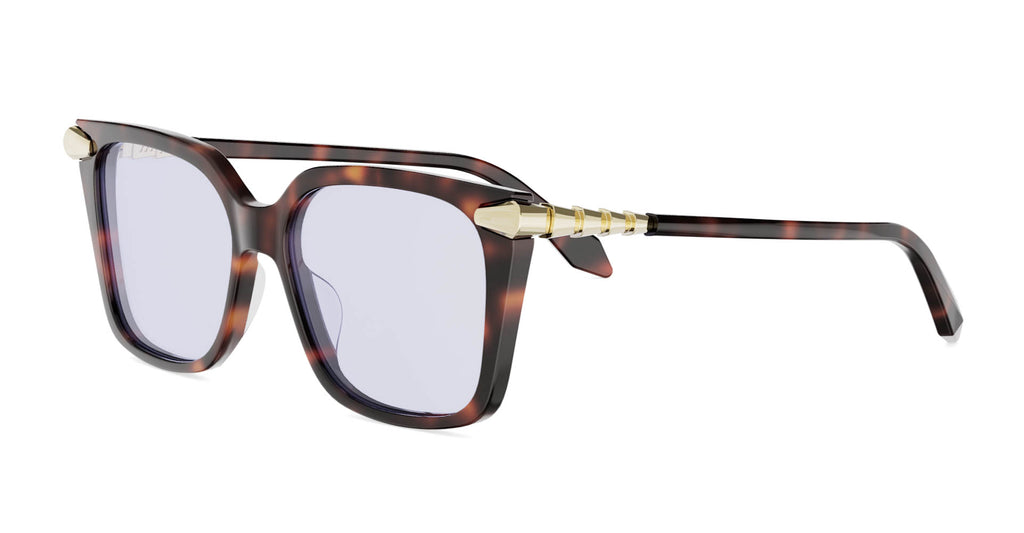 #colour_shiny-red-havana