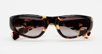 #colour_havana-brown-gradient