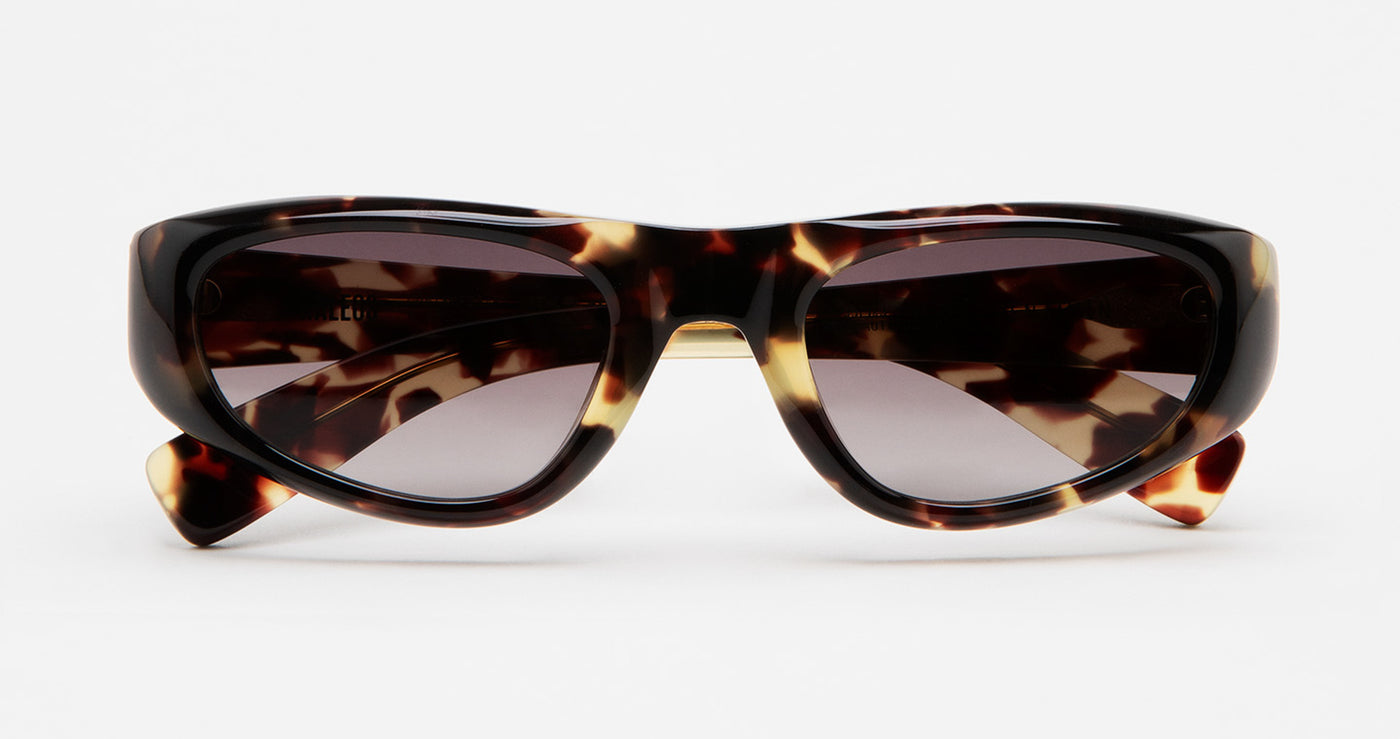 #colour_havana-brown-gradient