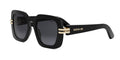 Dior Cdior S2I
