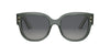 #colour_shiny-dark-green