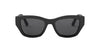 #colour_shiny-black