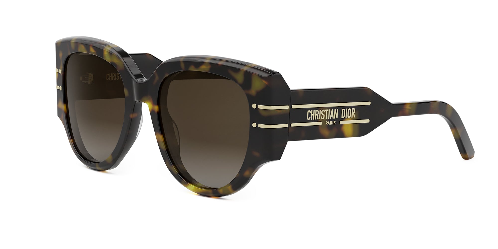 Dior Signature R2I Butterfly Sunglasses | Fashion Eyewear US