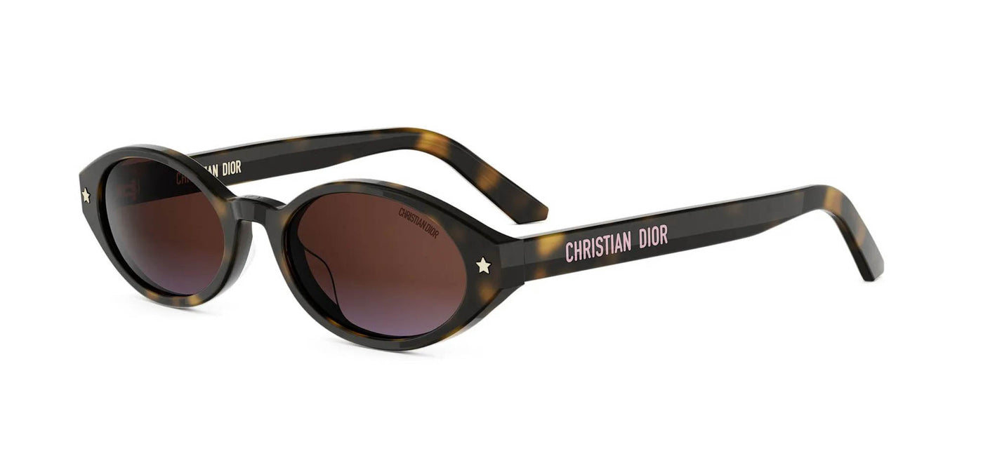 Dior Pacific R1I Oval Sunglasses | Fashion Eyewear