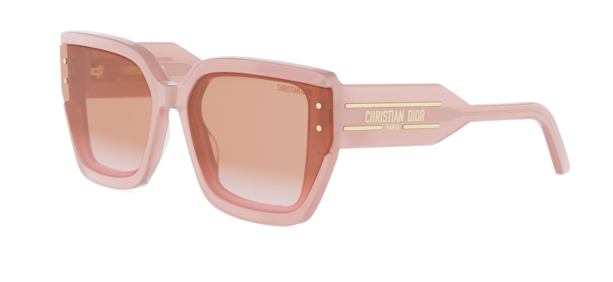 Dior Signature S14I Butterfly Sunglasses | Fashion Eyewear US