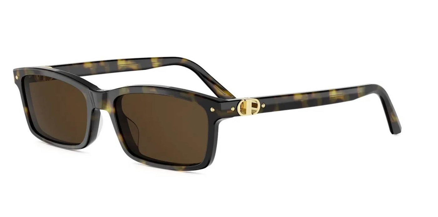 Dior Petit CD S1I Rectangle Sunglasses | Fashion Eyewear US