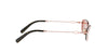 Dior Petit CD B1U#colour_rose-gold-brown-with-rose-pink-flash-mirror