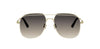 Dior Petit CD A1U#colour_gold-grey