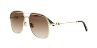 Dior Petit CD A1U#colour_gold-with-brown-havana-brown-gradient