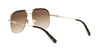 Dior Petit CD A1U#colour_gold-with-brown-havana-brown-gradient
