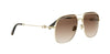 Dior Petit CD A1U#colour_gold-with-brown-havana-brown-gradient