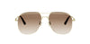 Dior Petit CD A1U#colour_gold-with-brown-havana-brown-gradient