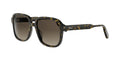 Dior DioRibbon S1I