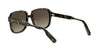 Dior DioRibbon S1I#colour_havana-brown