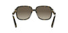 Dior DioRibbon S1I#colour_havana-brown