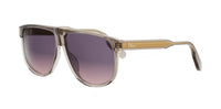 Dior DioRibbon S3I#colour_brown-grey