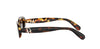 Dior Oblique B1I#colour_havana-brown