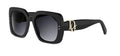 Dior Oblique S1I