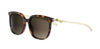 Dior Bow S1I#colour_havana-brown-gradient
