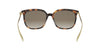 Dior Bow S1I#colour_havana-brown-gradient