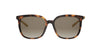 Dior Bow S1I#colour_havana-brown-gradient