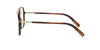 #colour_light-tortoise