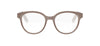#colour_transparent-khaki