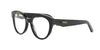#colour_shiny-black