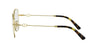 #colour_shiny-gold