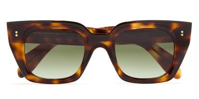 #colour_old-brown-havana-green-gradient