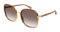 Chloe CH0031S Brown/Brown #colour_brown-brown