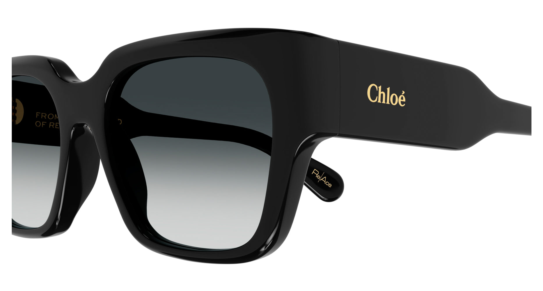 Chloe CH0190S Rectangle Sunglasses | Fashion Eyewear