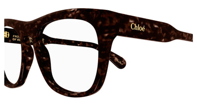 Chloe CH0191O Havana #colour_havana