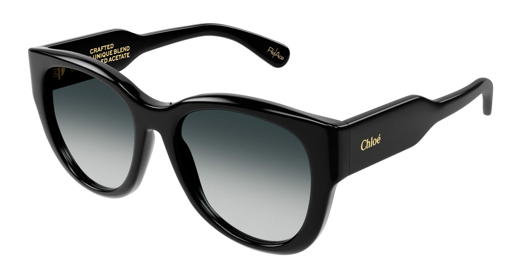 Chloe CH0192S Cat Eye Sunglasses | Fashion Eyewear US