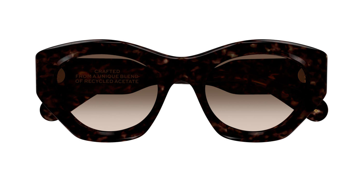 #colour_havana-brown-gradient