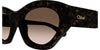 #colour_havana-brown-gradient