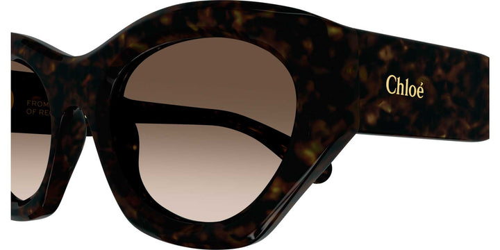 Chloe CH0220S Cat Eye Sunglasses | Fashion Eyewear US