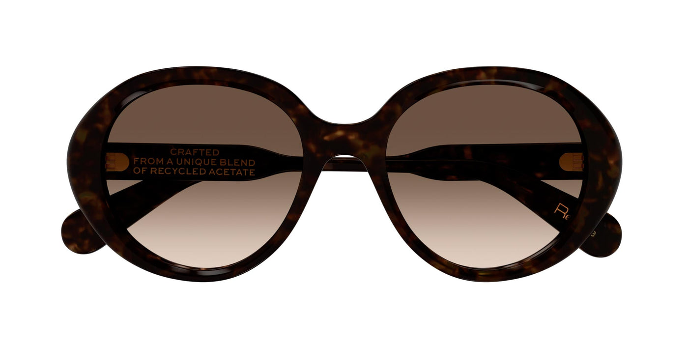 #colour_havana-brown-gradient