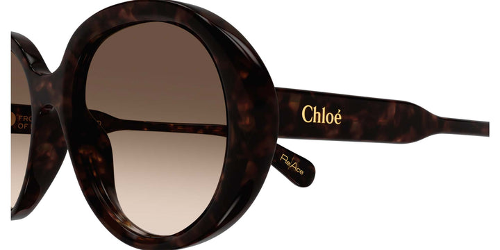 Chloe CH0221S Round Sunglasses | Fashion Eyewear US display picture 2