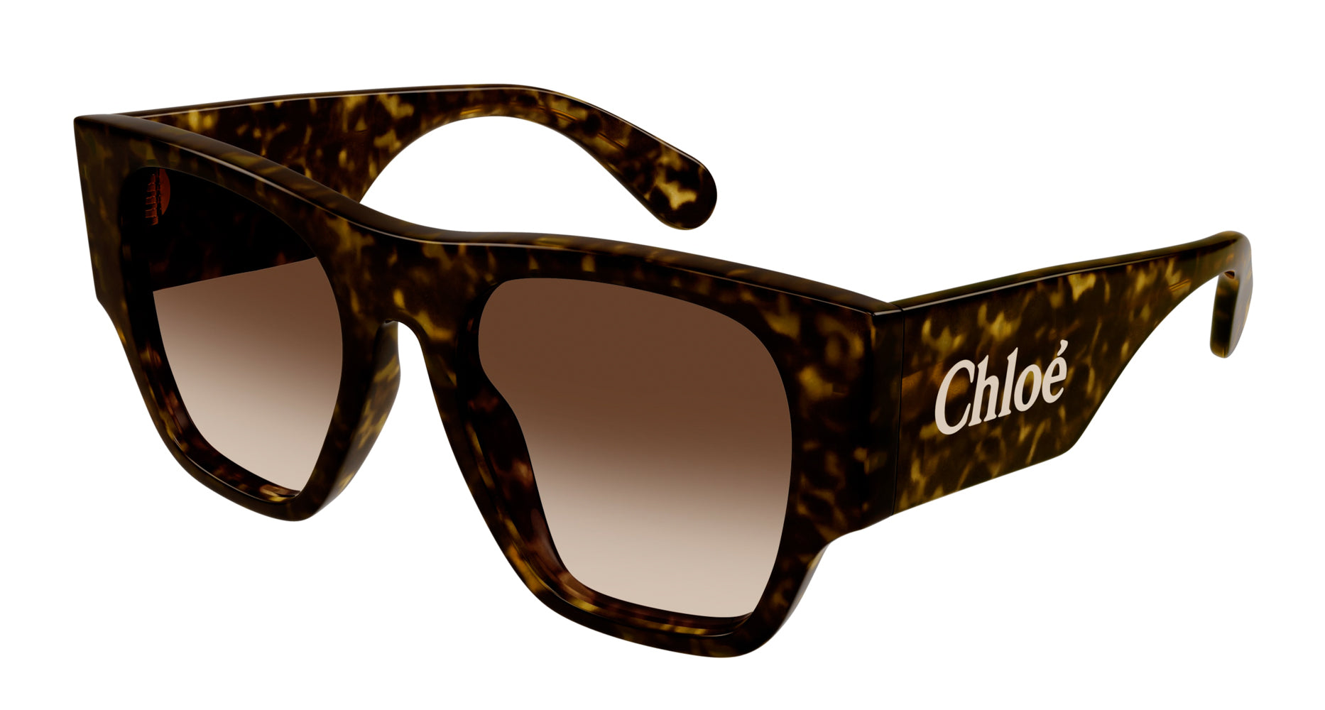 Chloe Sunglasses | Buy Online – Fashion Eyewear US