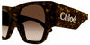 #colour_havana-brown-gradient