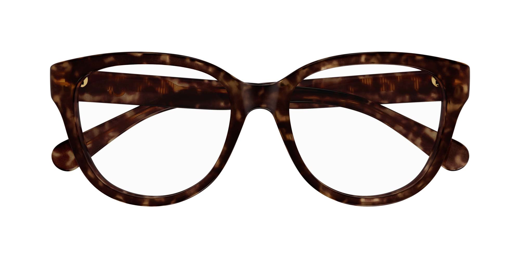 Chloe アイウェアキャットアイクラス CH0241O 001 Chloe CH0243O Cat Eye Glasses | Fashion Eyewear