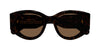 #colour_havana-brown
