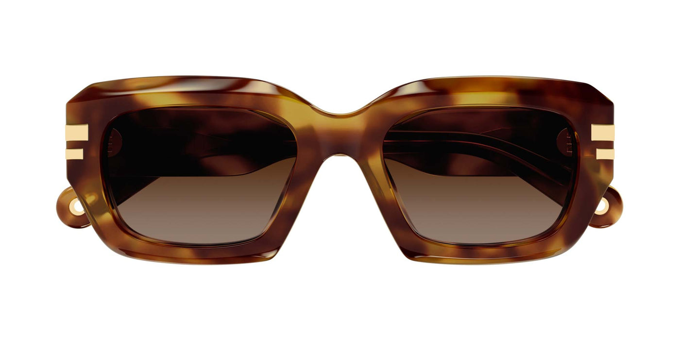 #colour_havana-brown-gradient