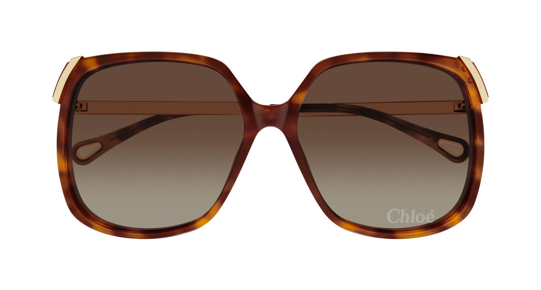 Chloe CH0286S Square Sunglasses | Fashion Eyewear US