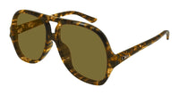 Chloe CH0289S#colour_havana/brown