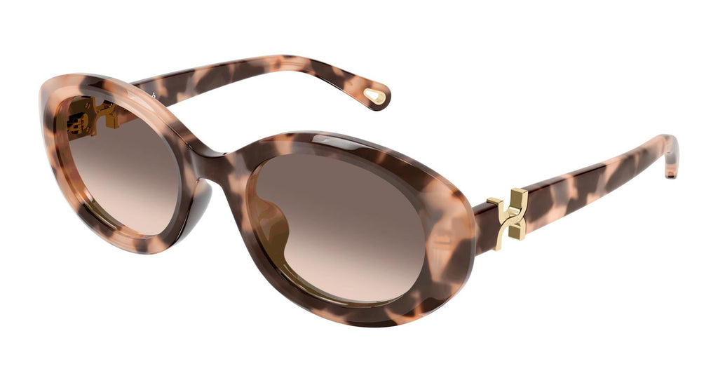 Chloe CH0323SK#colour_havana/brown gradient
